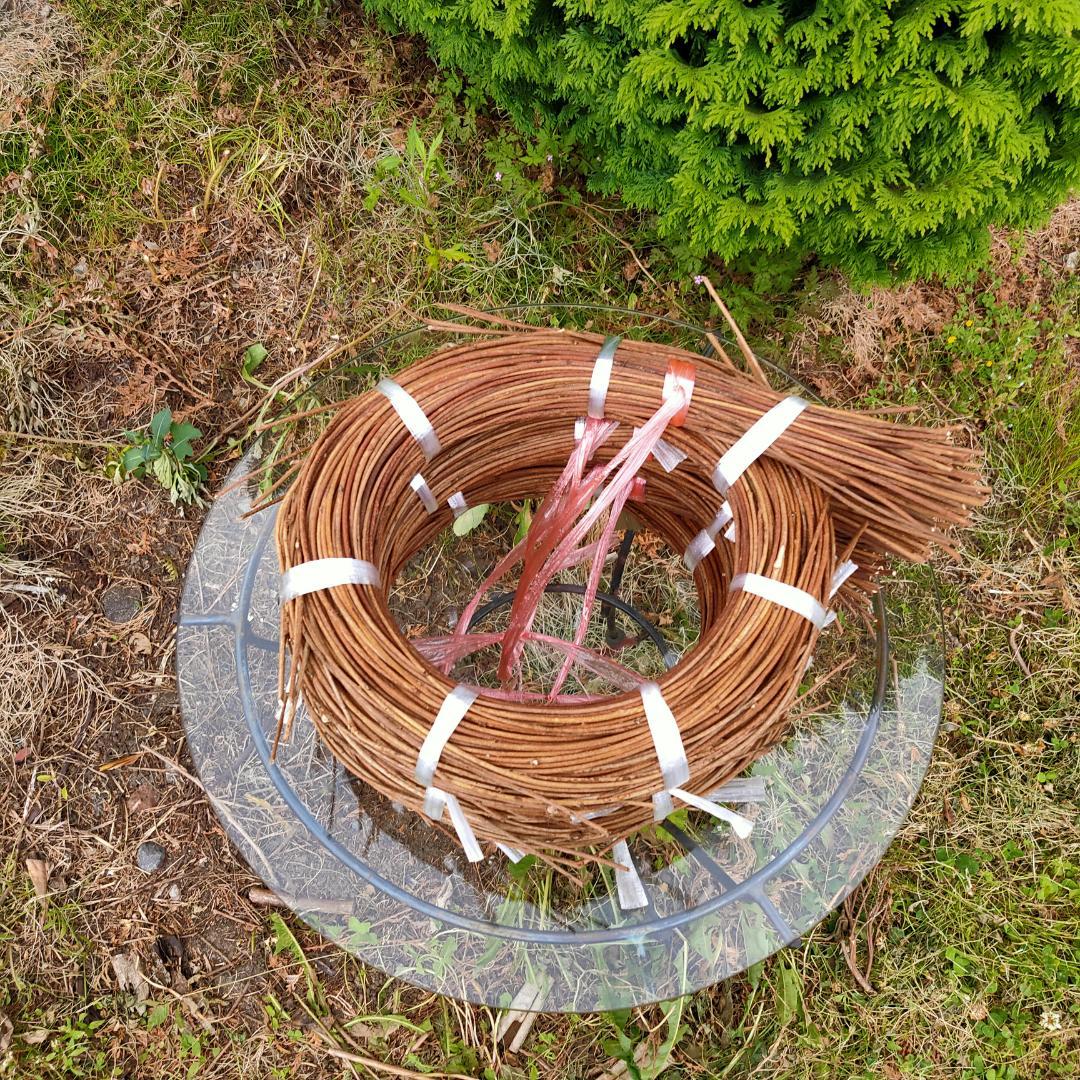 (注)青森県岩木山採取　あけび蔓　150cm～　3kg(依頼品)　1