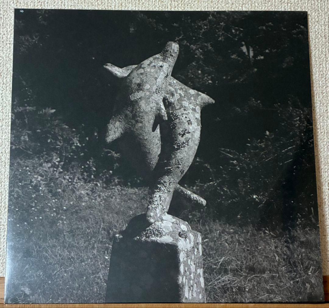 新品 送料無料 青葉市子 SINGLE COLLECTION LP レコード