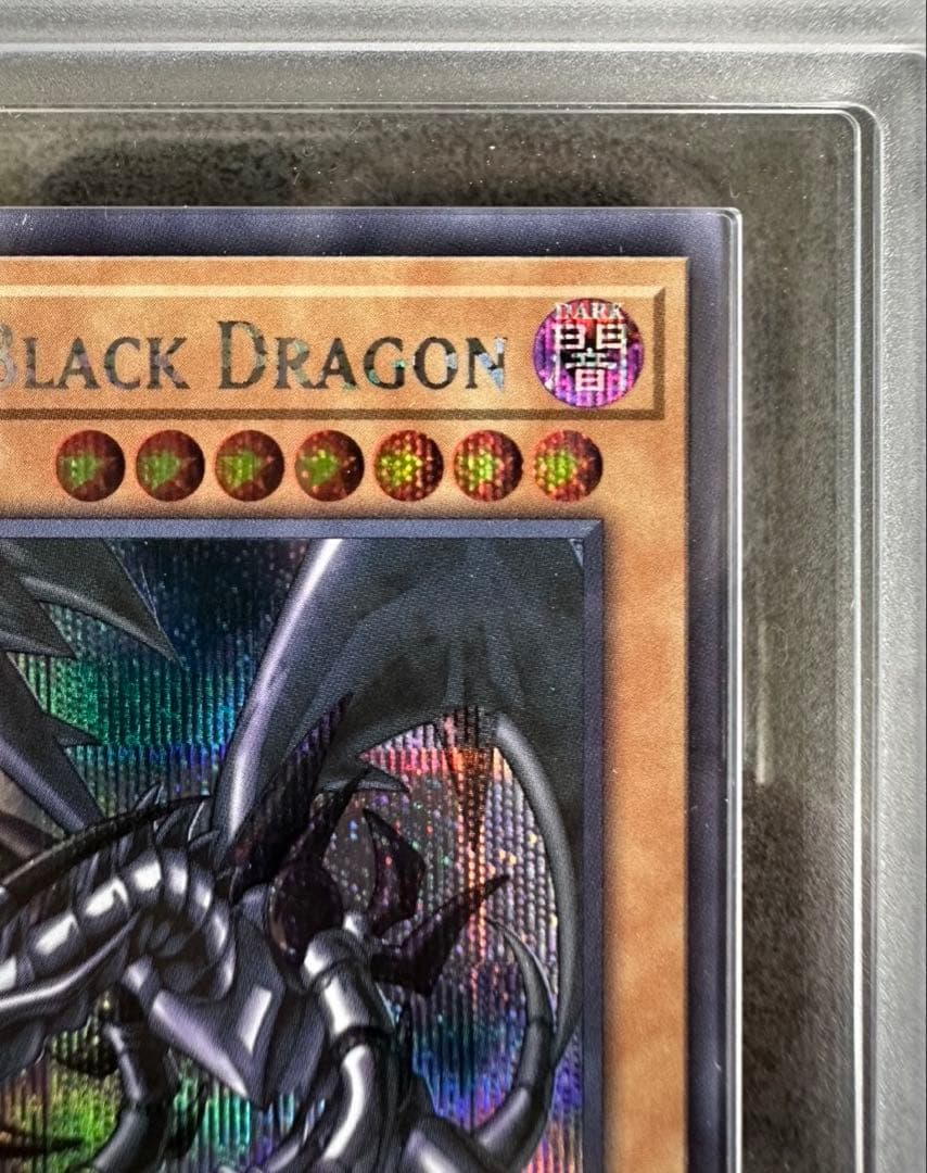 レッドアイズ・ブラックドラゴン 真紅眼の黒竜NIKE ARS 10 鑑定