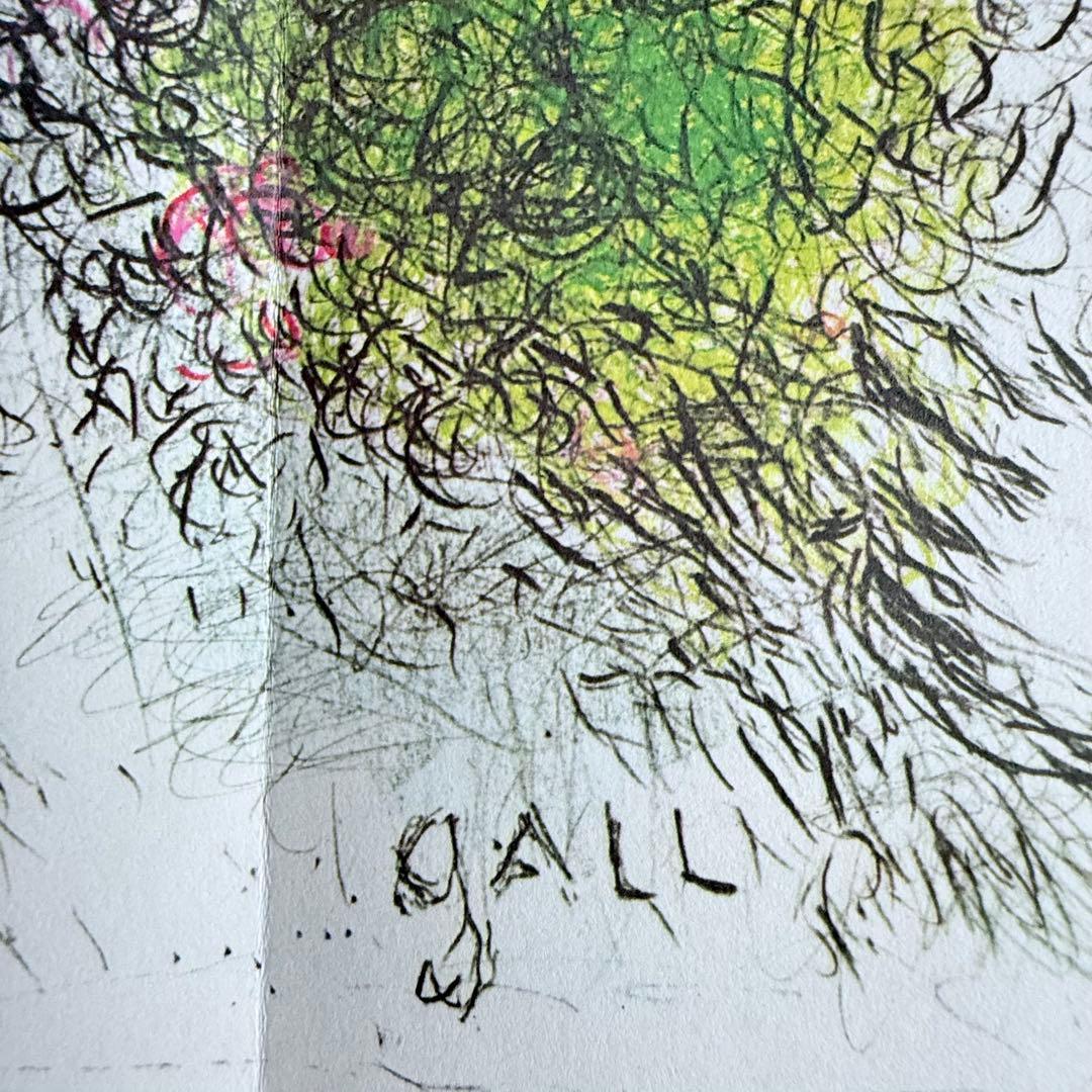 2192様感謝‼️芸術の秋‼️シャガール『デリエールルミロワール』No.246.