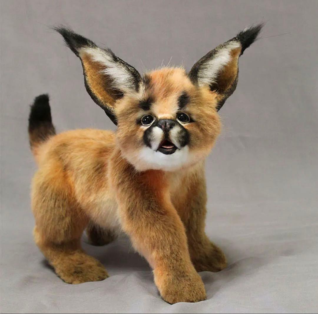 海外作家様作　アートドール　カラカル