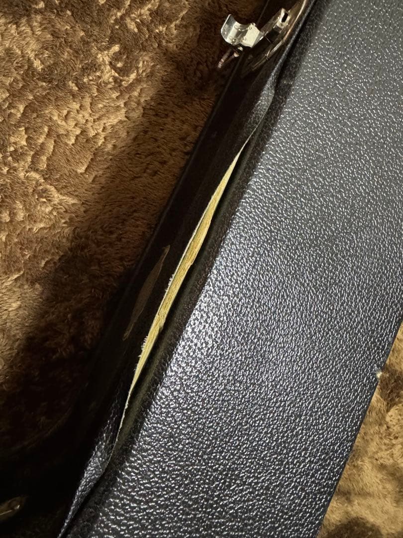 Taylor 214ce 純正ハードケース付き