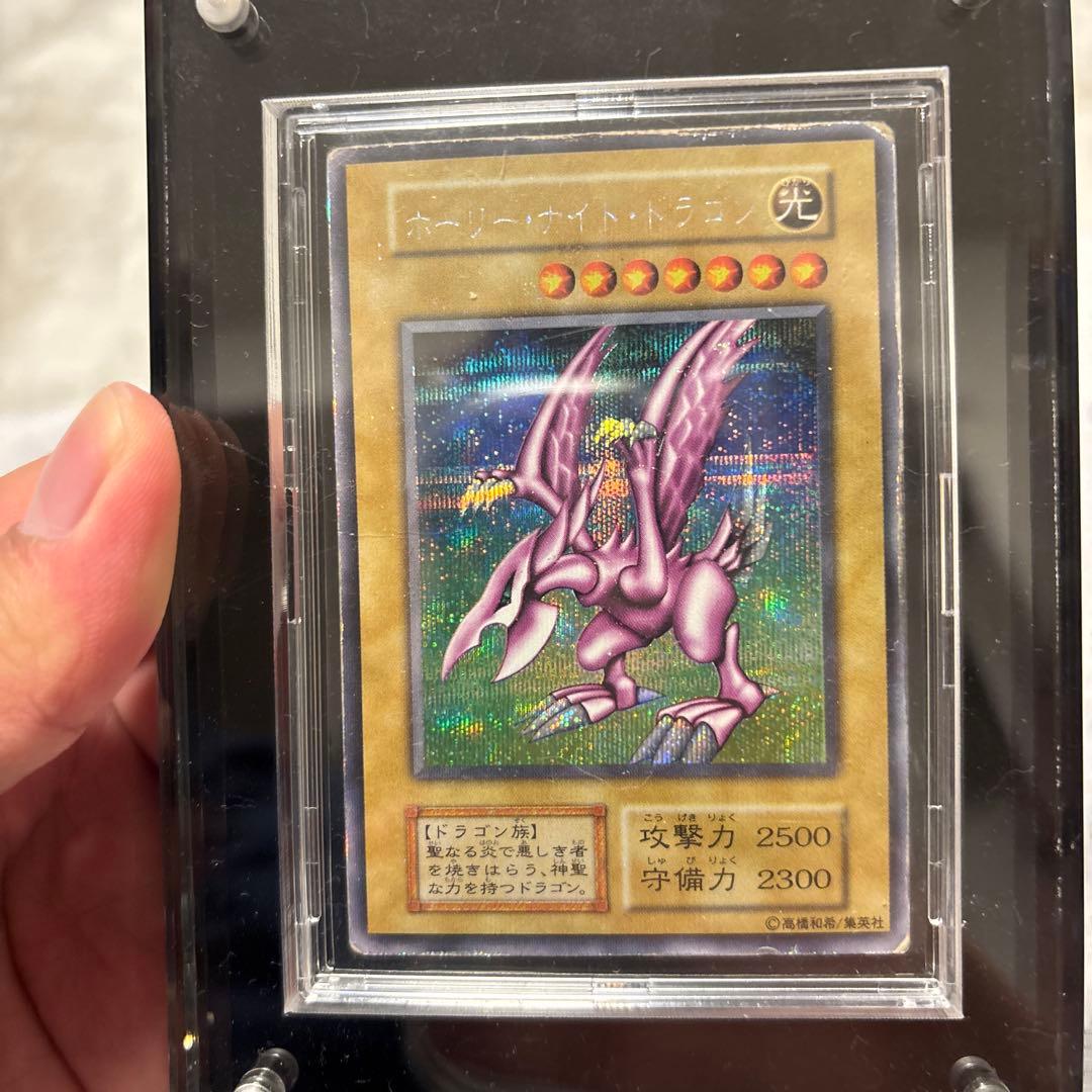 p*i様 ホーリー・ナイト・ドラゴン 初期