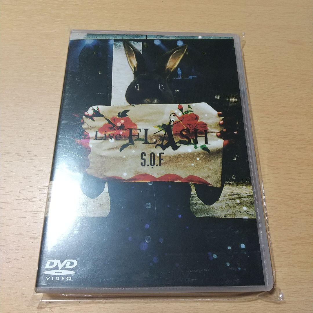 ミュージック S.Q.F / LIVE FLASH MASCHERA michi.