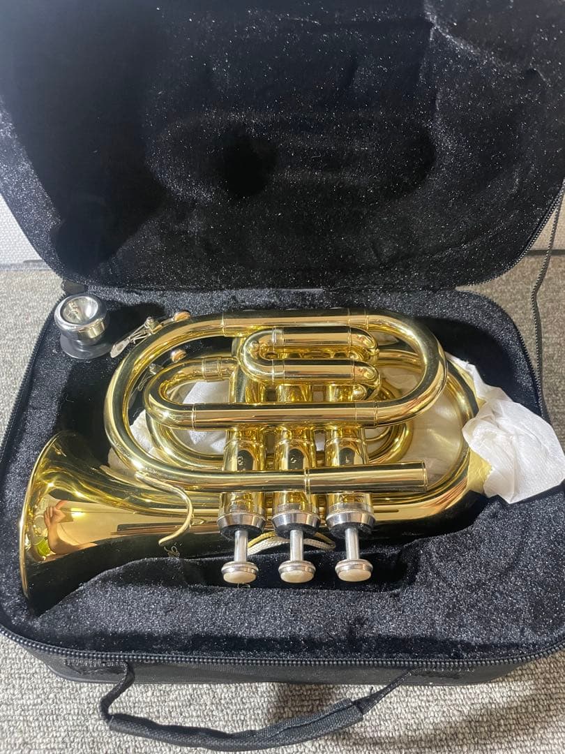 ケルントナーミニトランペット AY01108 (ケース付き)