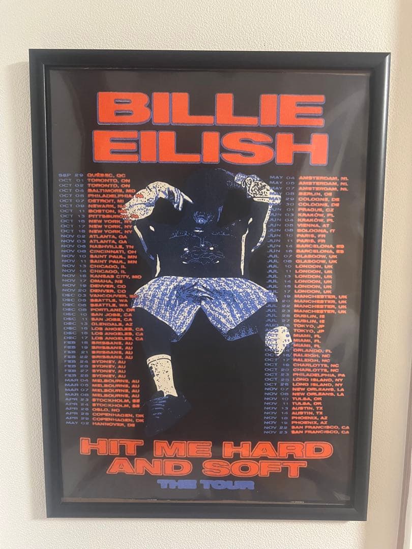 ビリーアイリッシュ A2布ポスター