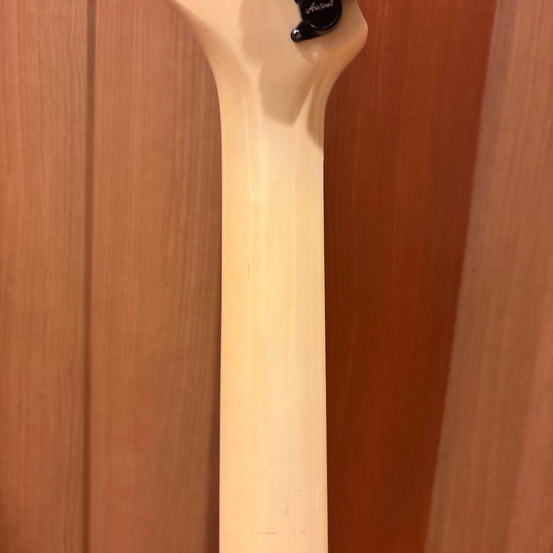 Aria Pro II Va480 ブラックパーツ仕様 アーム付 新品弦張替済