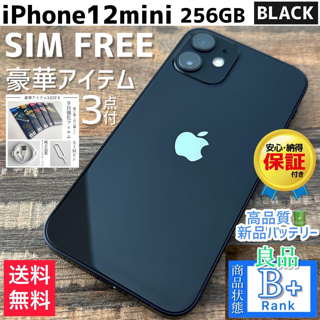 【良品◎大容量‼︎】iPhone12mini 本体 Black 256GB