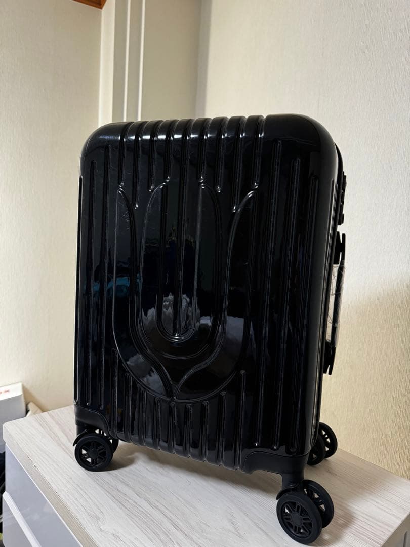 UNISON SQUARE GARDEN スーツケース