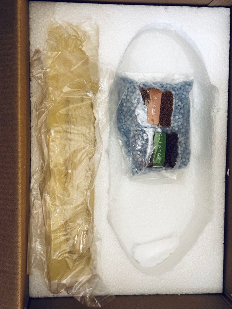 未使用品　風の谷のナウシカ 王蟲の抜け殻プランター