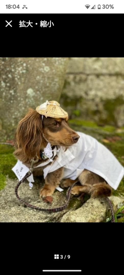 ペット用お遍路白衣三点セット　Мまで