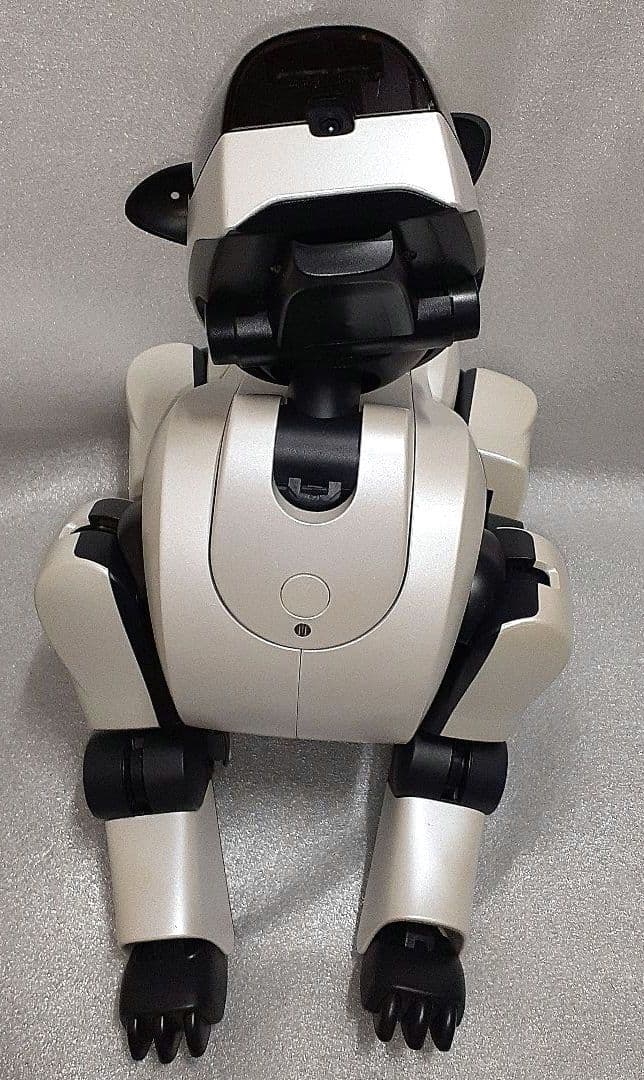【 完全ジャンク品 】ソニー AIBO アイボ ERS-210 本体のみ 中古品