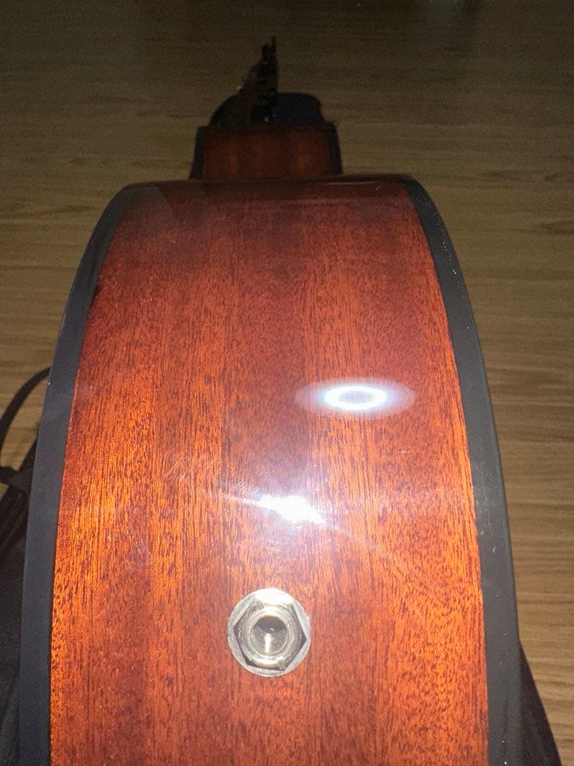 Ibanez AEGB24E-MHS (必ず商品の説明をご覧ください！)