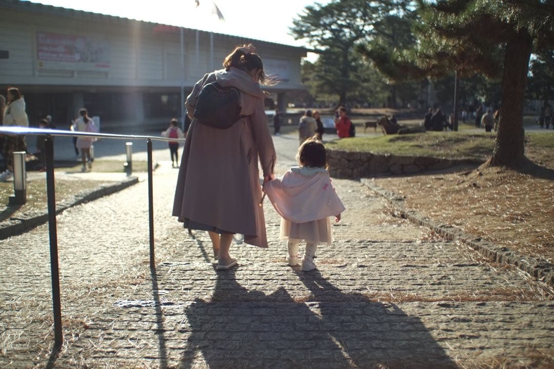 レンズ(単焦点) Carl Zeiss Jena MC Flektogon 35mm F2.4