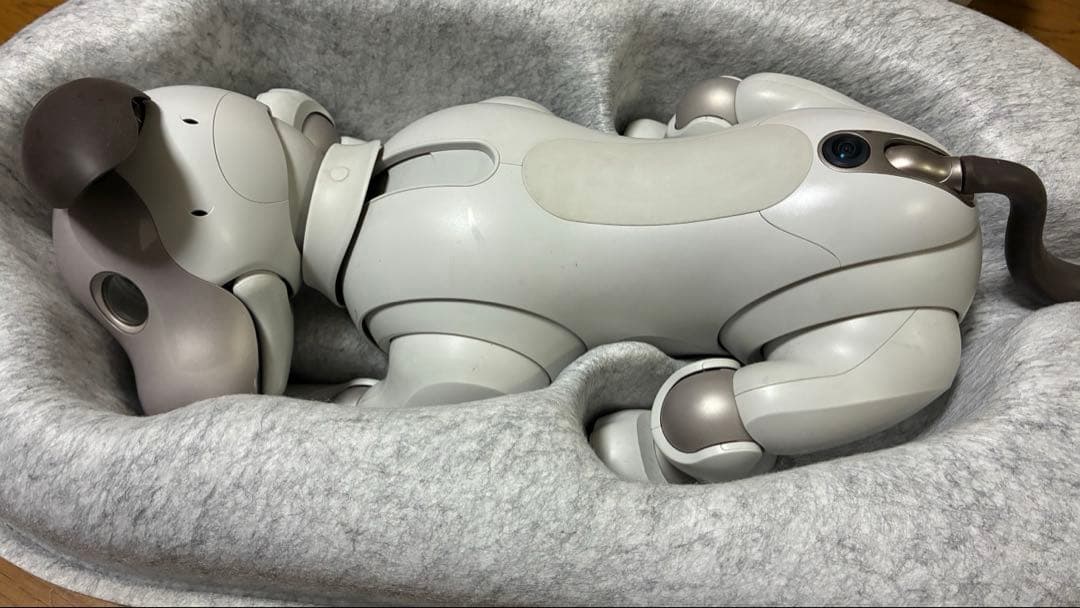 SONY aibo アイボ　ERS-1000