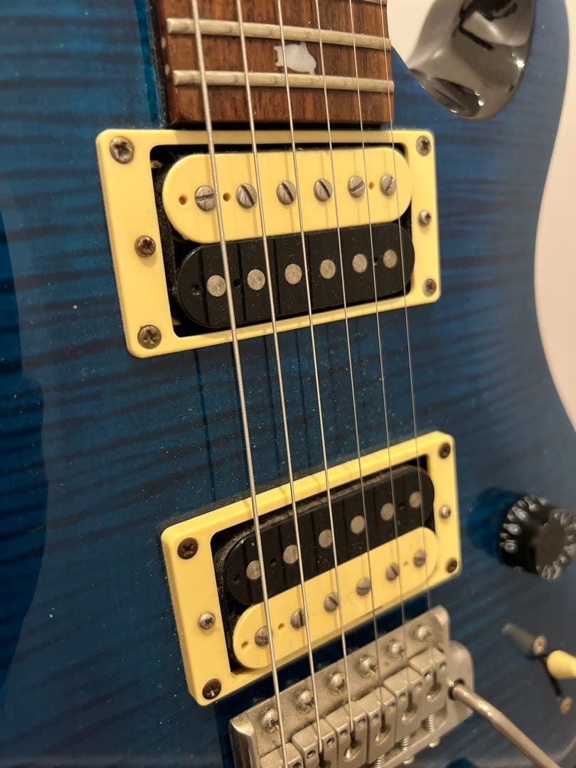 ギター PRS SE CUSTOM24 Whale Blue
