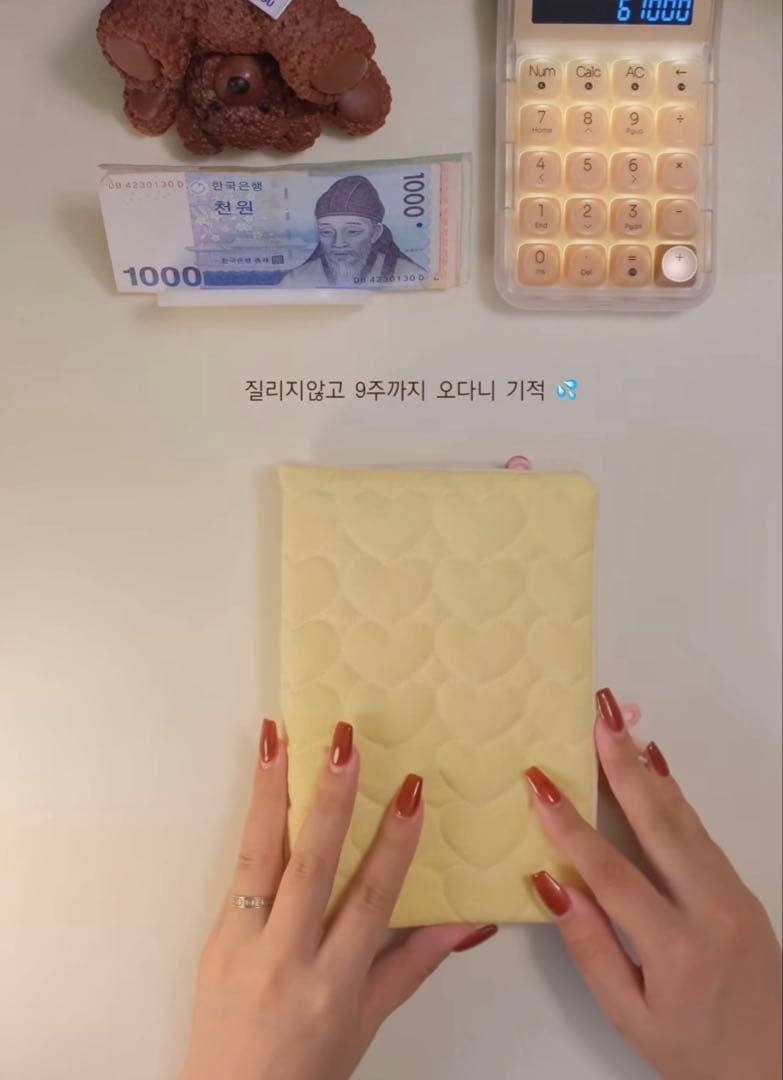 1点のみ 韓国 A6 バインダー 現金 貯金 リフィル