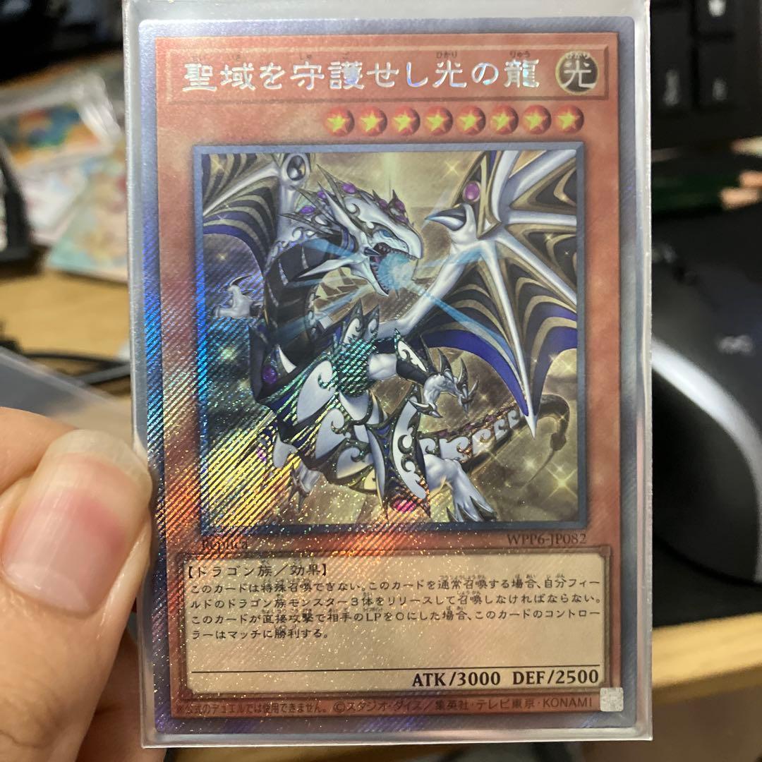 聖域を護せし光の龍 WPP6-JP082