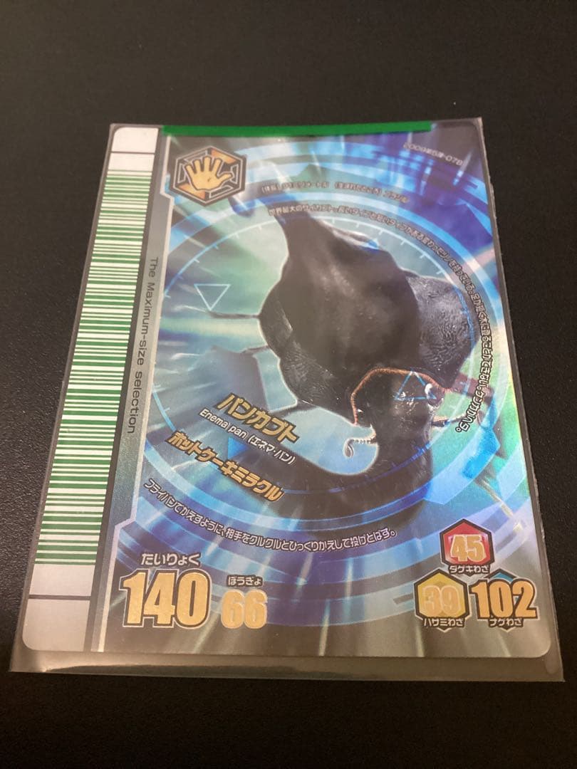 希少　ムシキング　2009第5弾　最大ムシ13種　 25枚