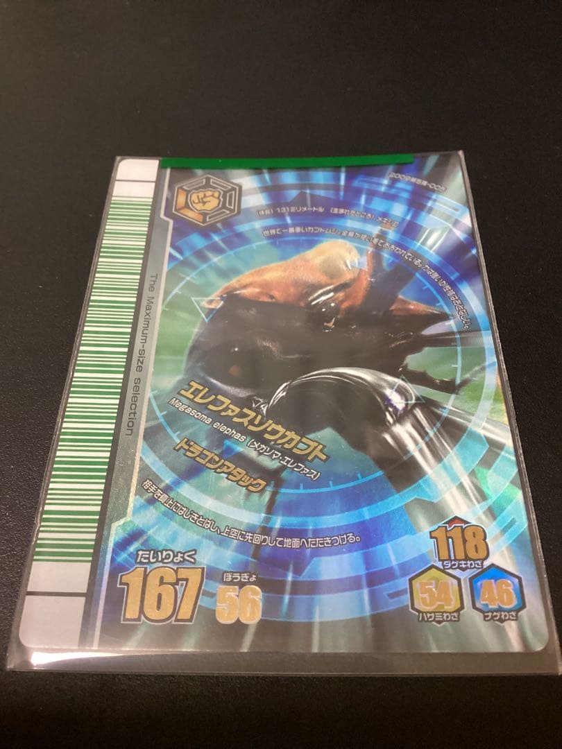 希少　ムシキング　2009第5弾　最大ムシ13種　 25枚