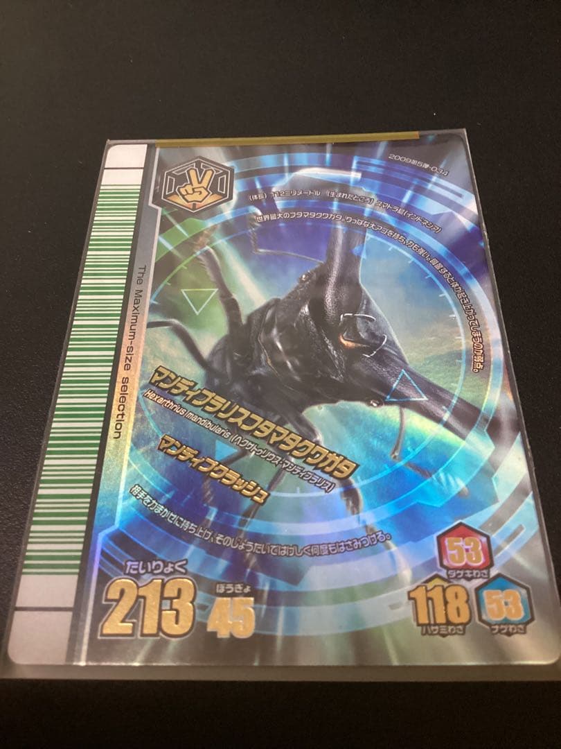 希少　ムシキング　2009第5弾　最大ムシ13種　 25枚