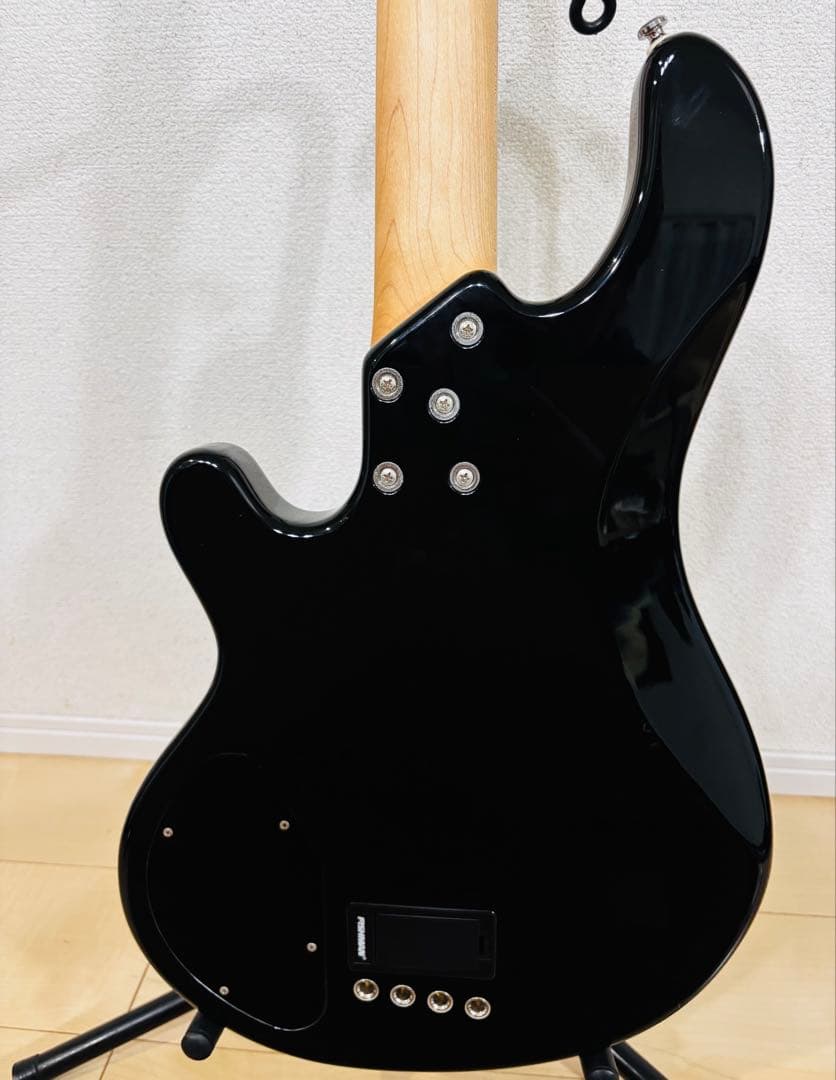 レイクランド　LAKLAND Skyline Series SK-4CL
