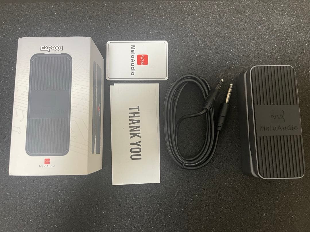 ギター MeloAudio EXP-001