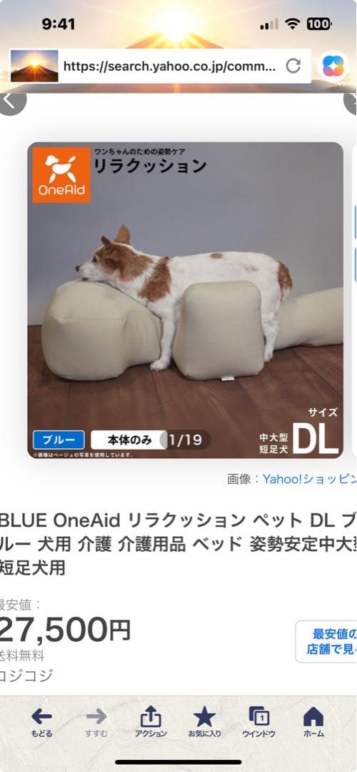 リラクッション　DLサイズ