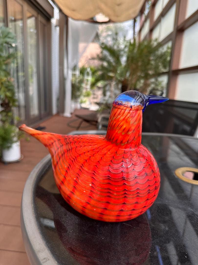 イッタラ　オイバトイッカRainbow Tern