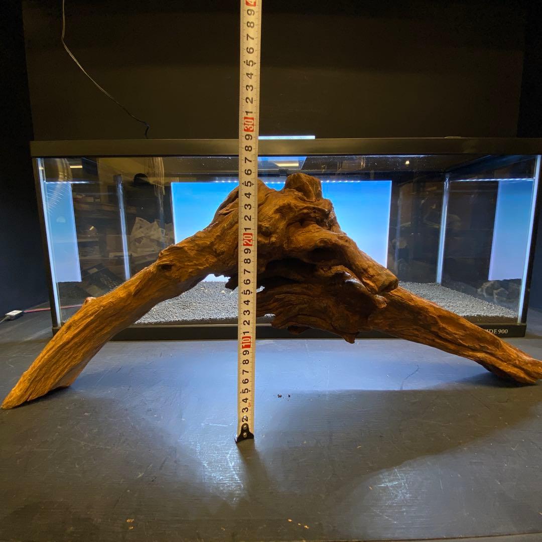 MRW-6332 特大自立赤系流木　アーチ流木　1点物　自立流木90cm水槽用