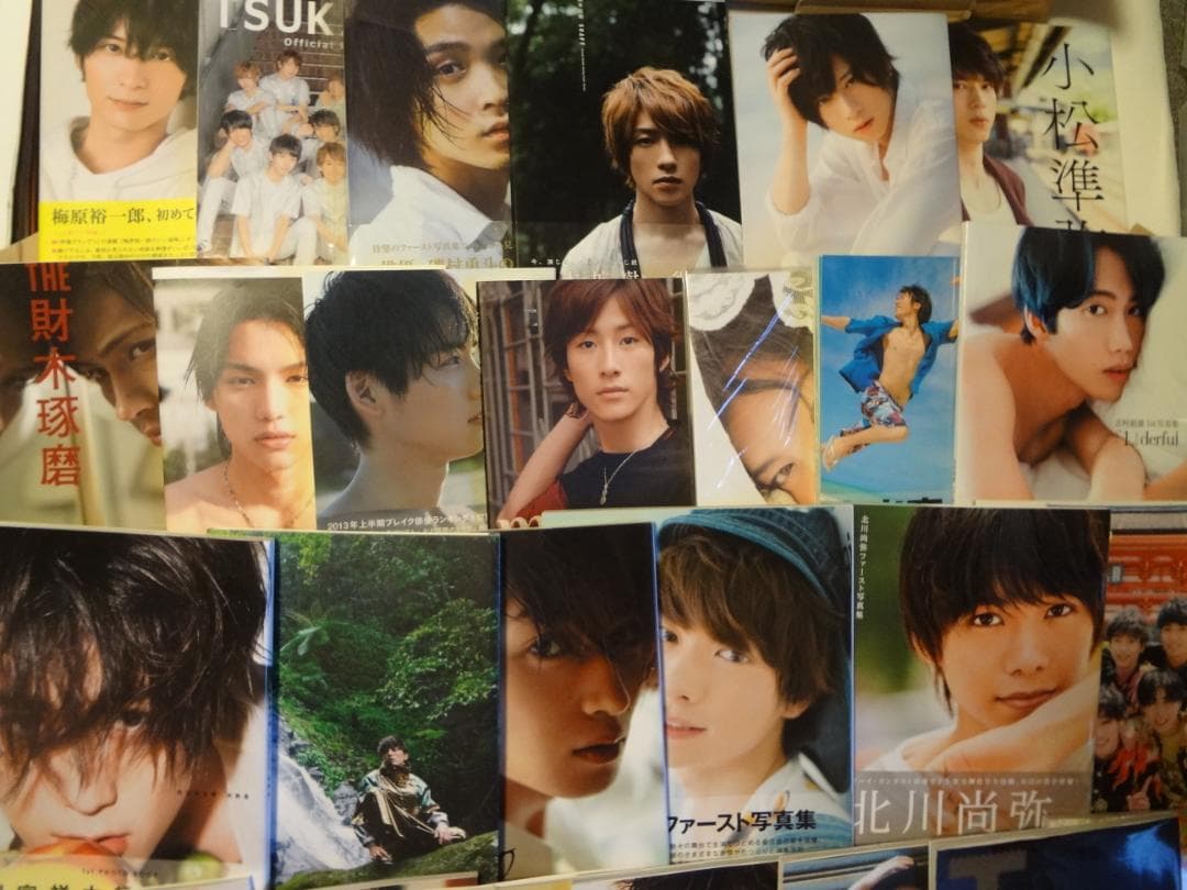 英俊嘅男孩，演員，配音演員，藝術家摘要寫真集