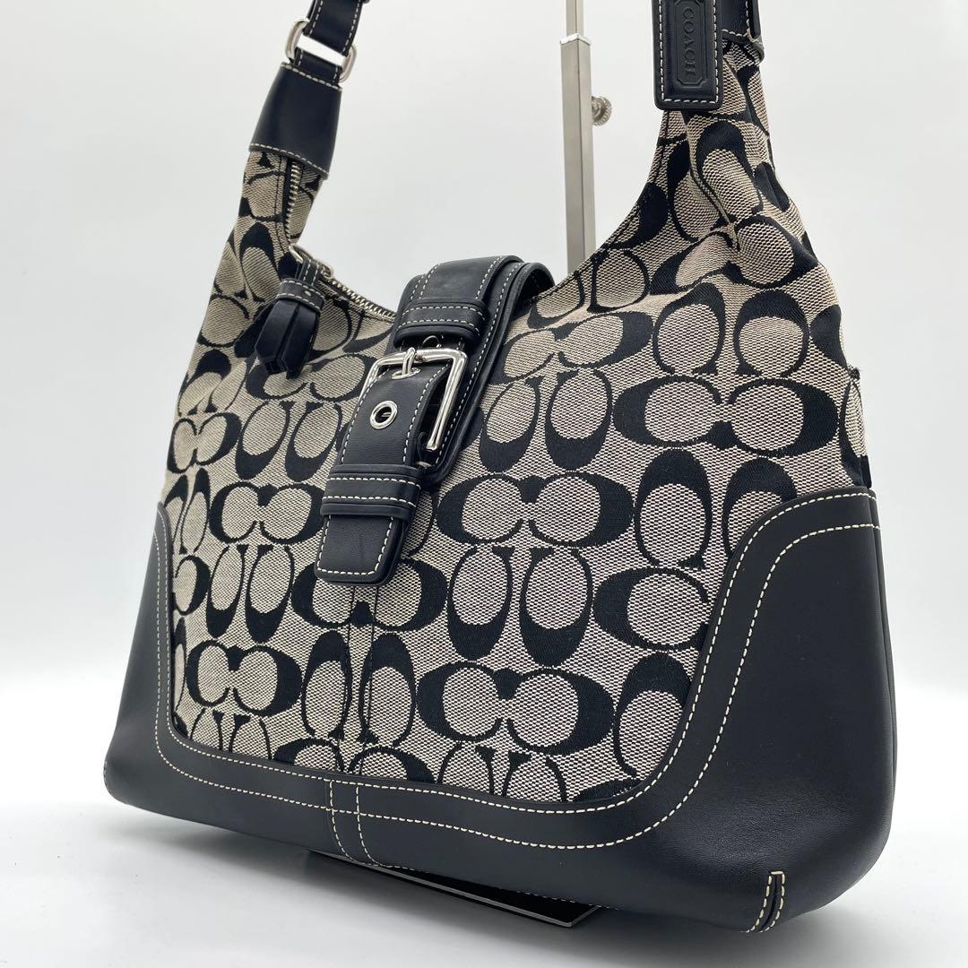 【美品】コーチ　ワンショルダーバッグ　タッセル　チャーム　シグネチャー