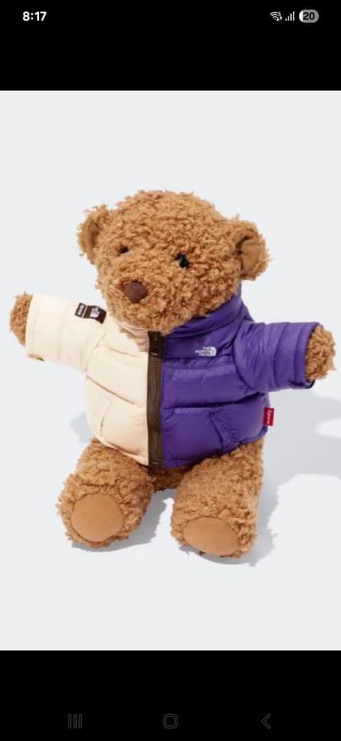 The North Face・Supreme ぬいぐるみ ダウンジャケット