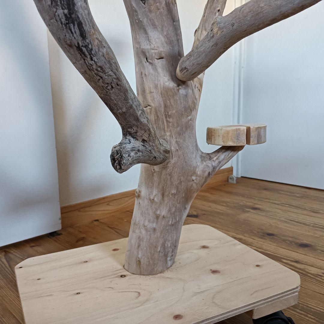 バードアスレチックジム 大型 ⑪ 天然木 自然木 流木 インコ おもちゃ