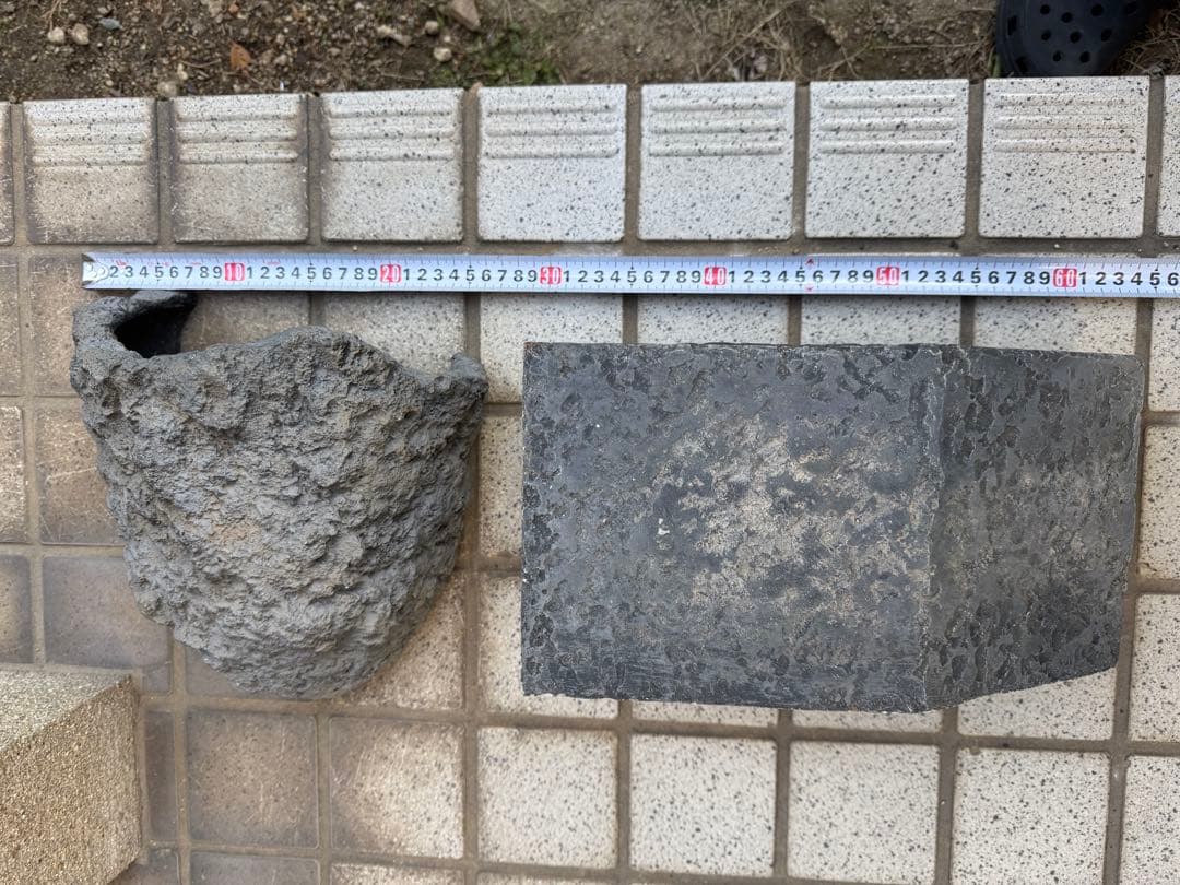 トカゲ　洞窟　隠れ家2個セット