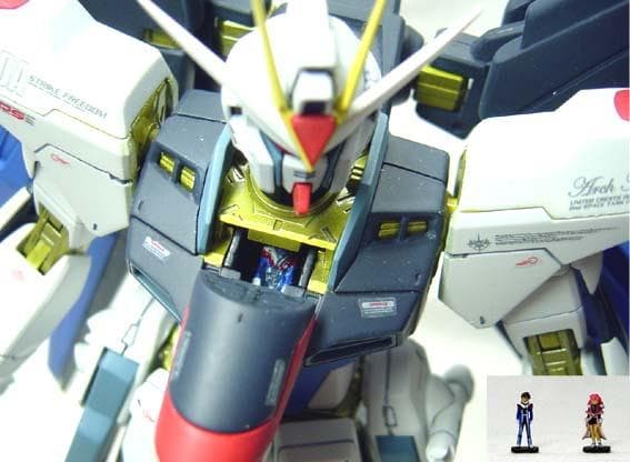 MG2体セット ストライクフリーダム デスティニー / ガンプラ塗装済完成品