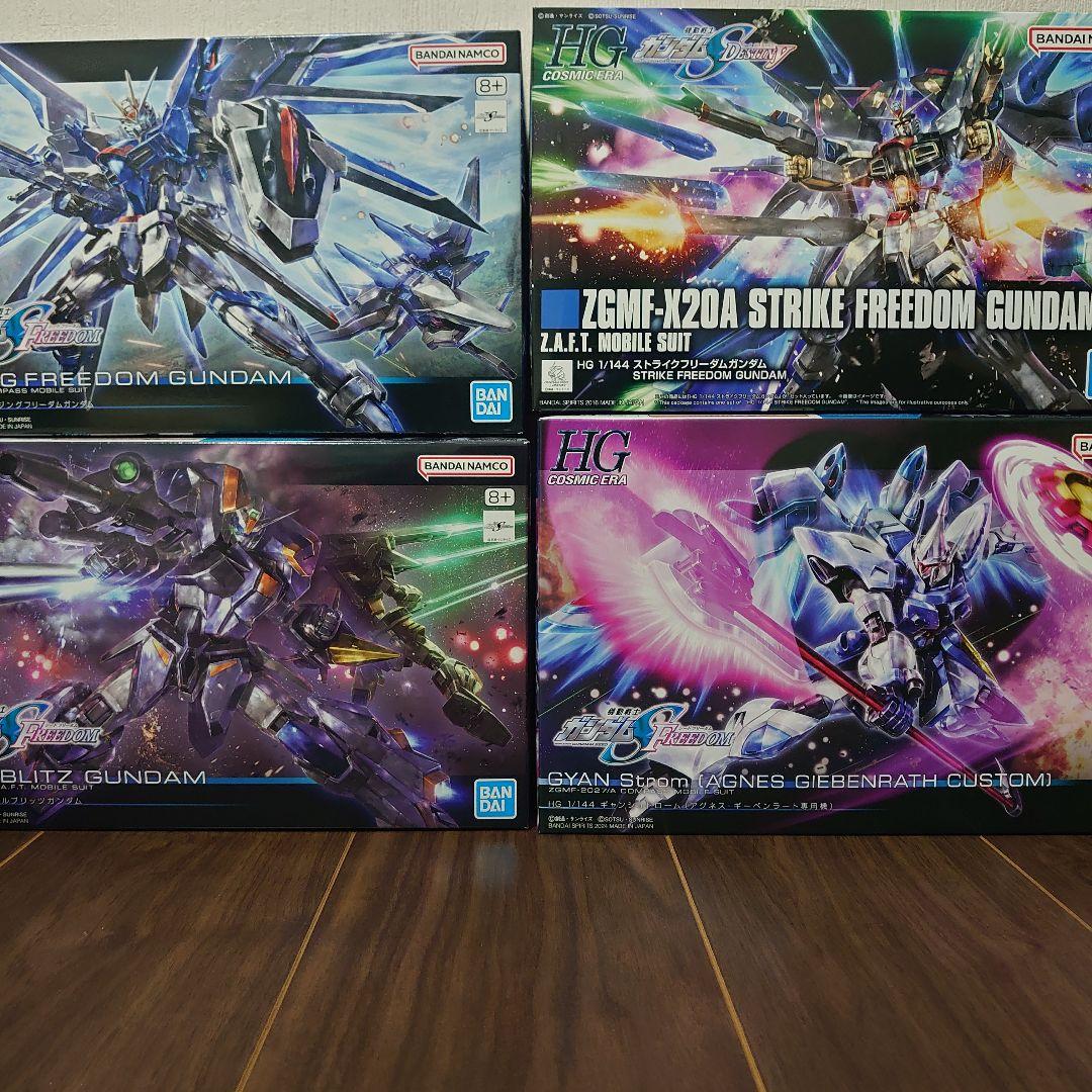 HG ストライクフリーダム　ライジング　デュエルブリッツ　ギャンシュトロノーム