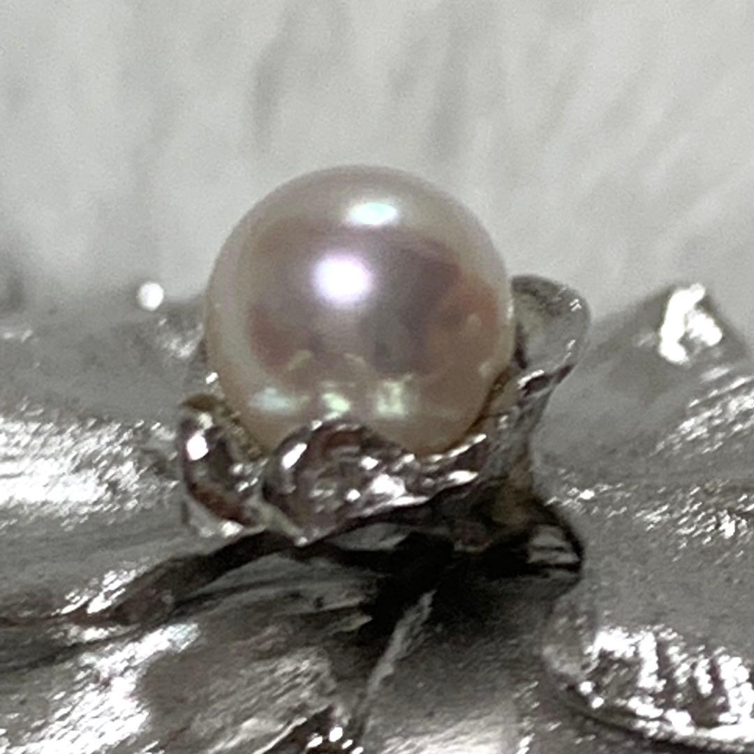 極美品 アコヤ真珠 ピンブローチ 胡蝶蘭 極上 銀細工 SILVER 925