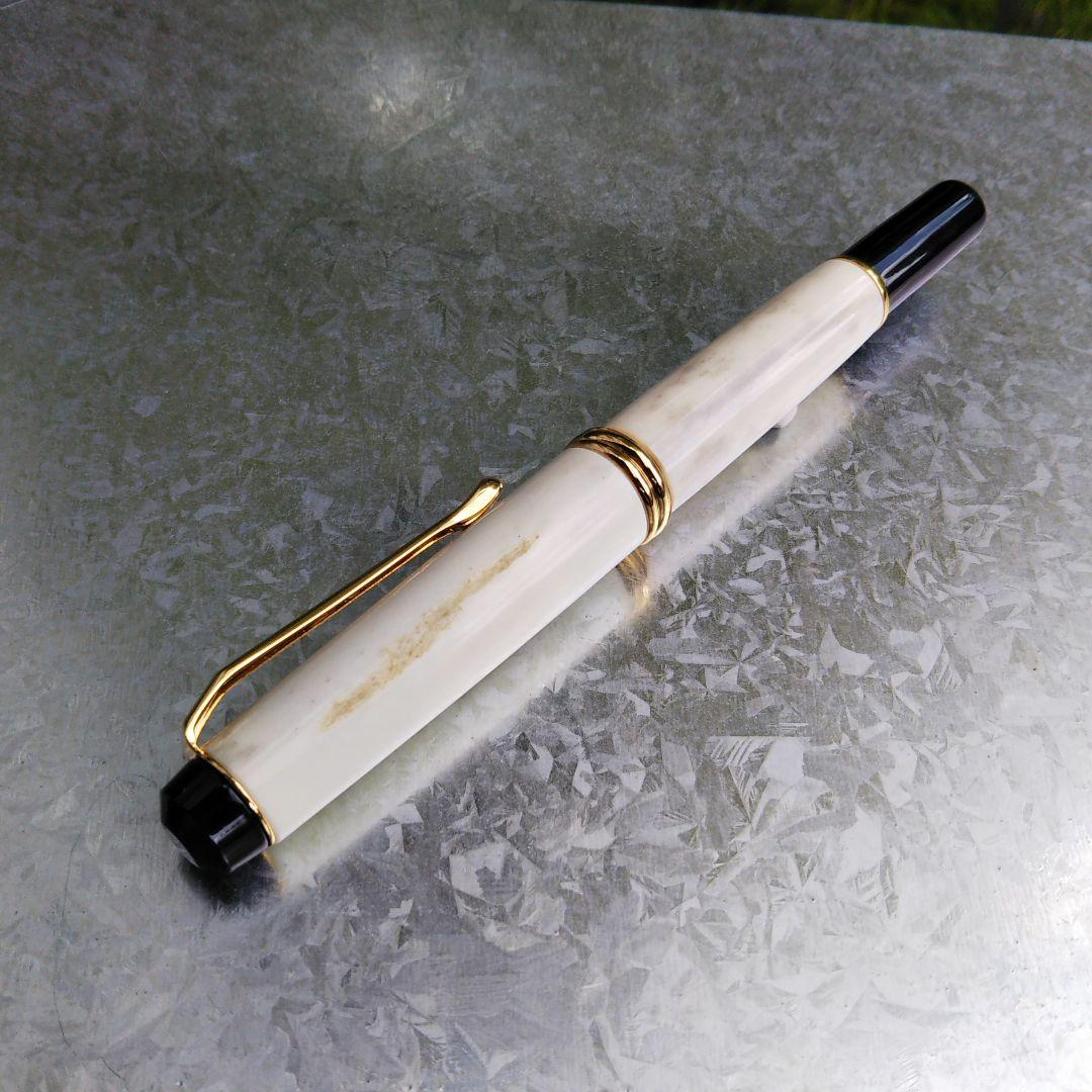 くれ竹万年毛筆 夢銀河 本革  鹿角/本革セット