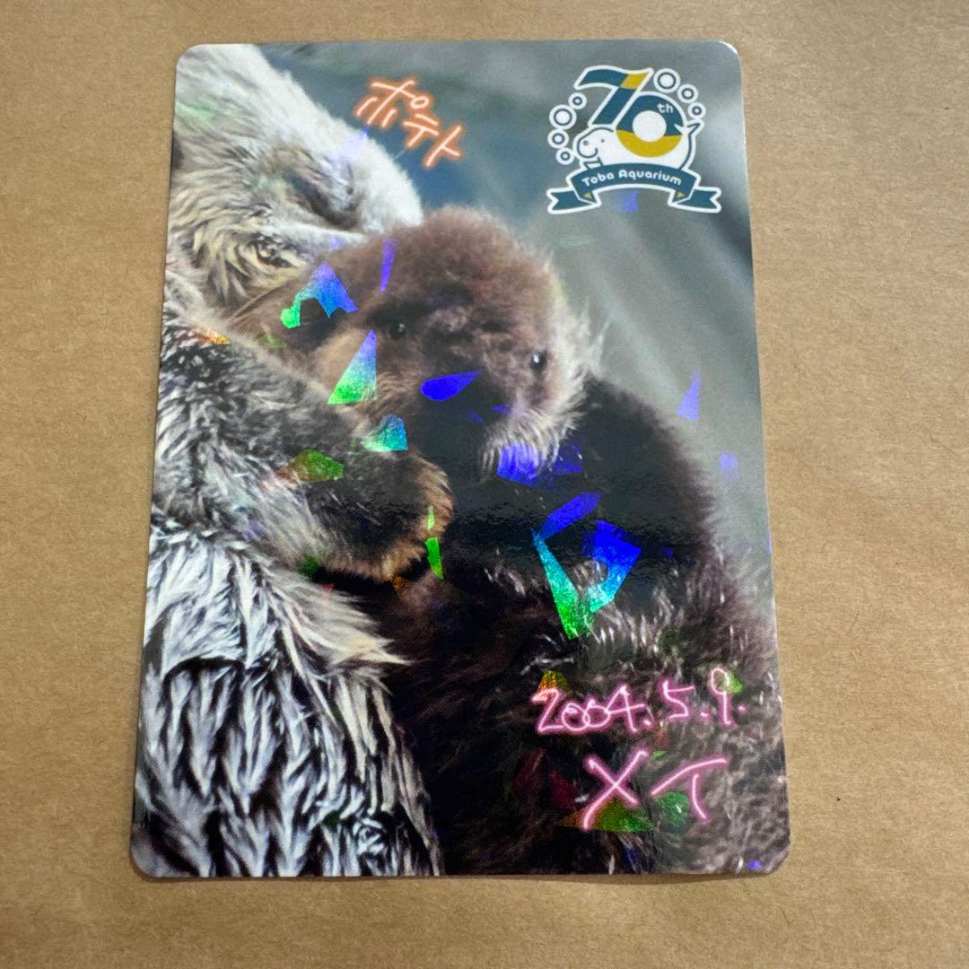 最安値‼️ 鳥羽水族館　コレクションカード　70周年記念　ラッコ　メイ　レア