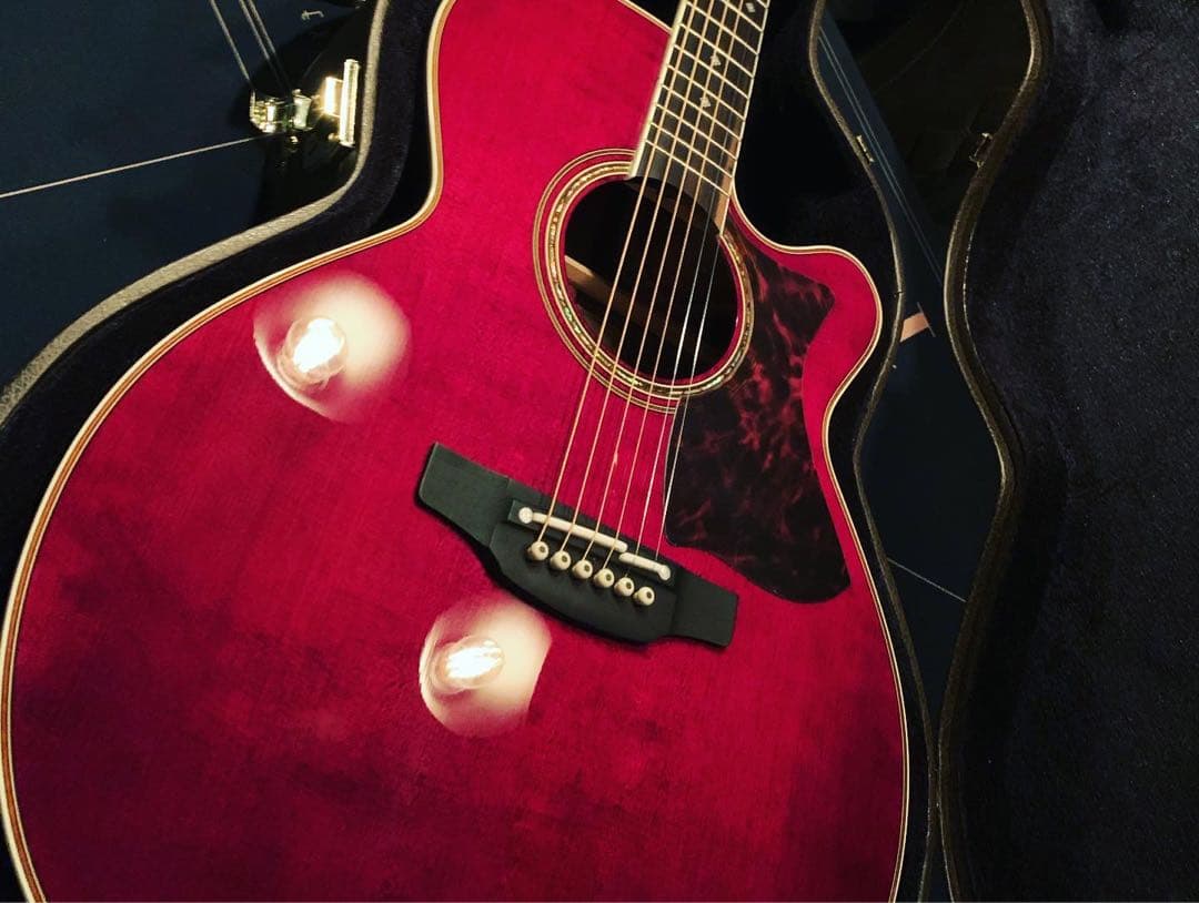 Takamine × 島村楽器コラボ DMP50S WRアコースティックギター