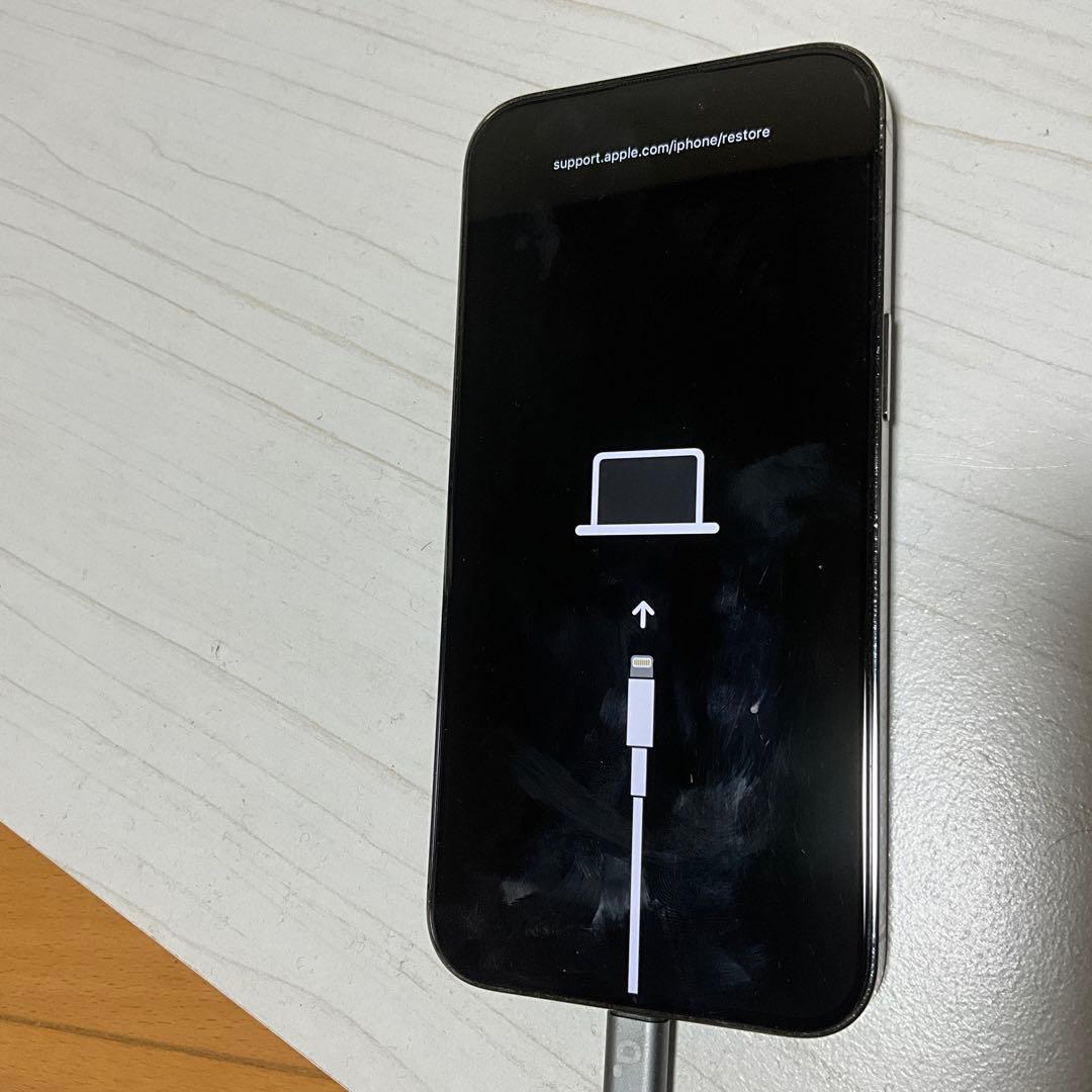 【ジャンク】iPhone14 Pro Max 128GB 起動不可