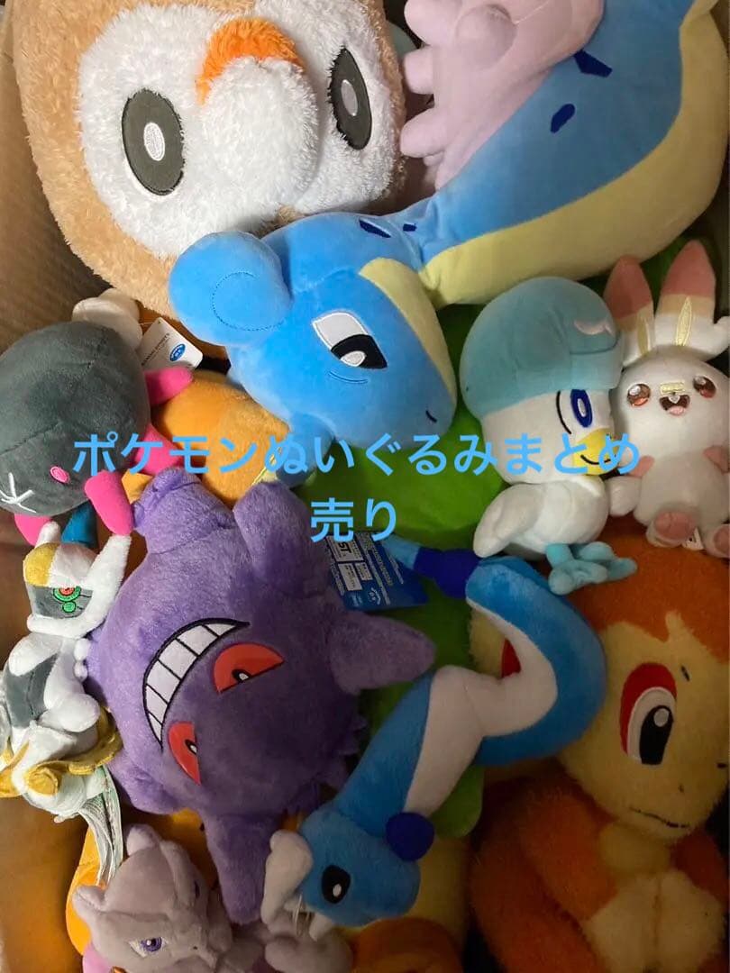 ポケットモンスター ぬいぐるみ 引退品 ポケモン 22体 まとめ売り 少年