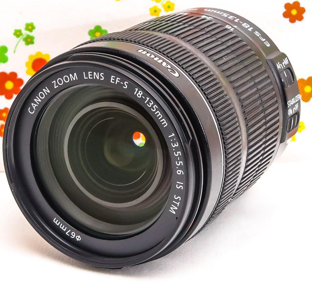 美品 Canon EF-S 18-135mm STM☆高性能・高倍率レンズ