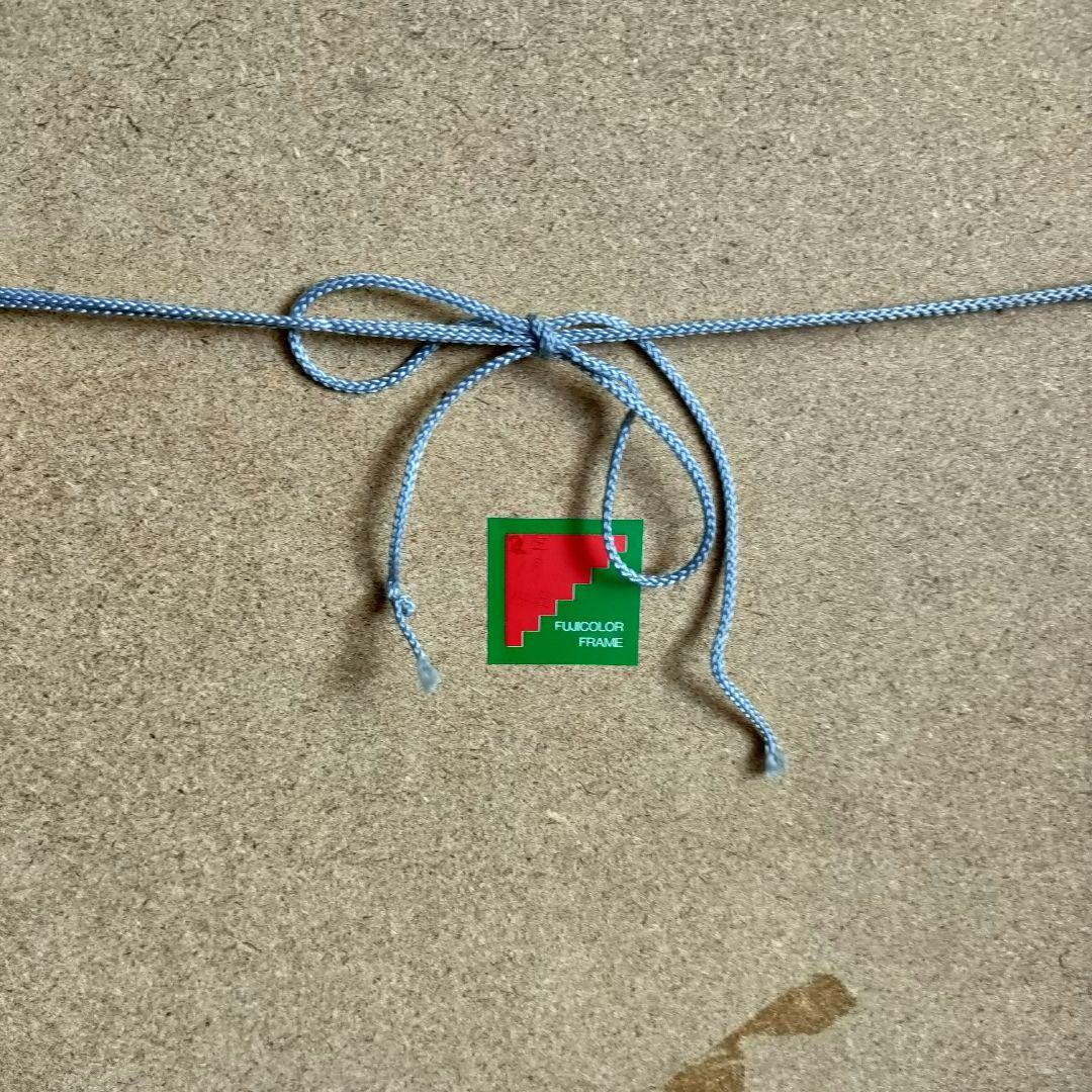 フジカラー アルミ額縁 フォトフレーム A10N 全紙 高級台紙使用 シルバー