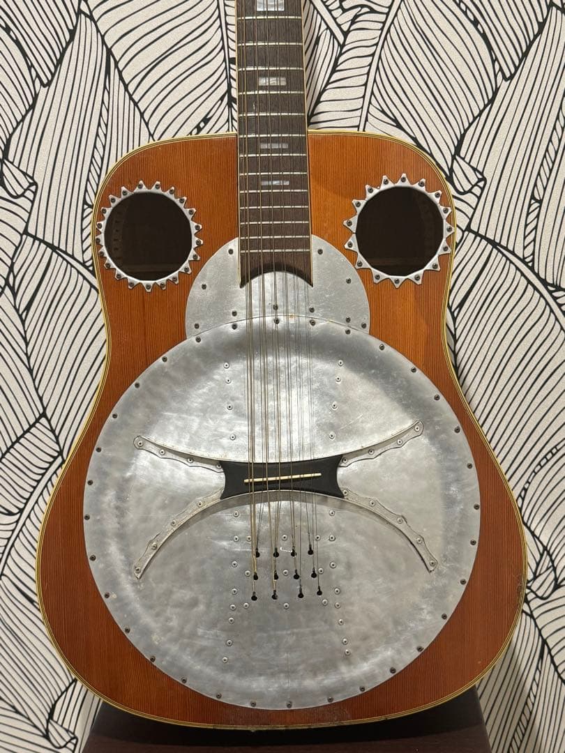 カスタマイズ アコースティックギター Eko Ranger XII