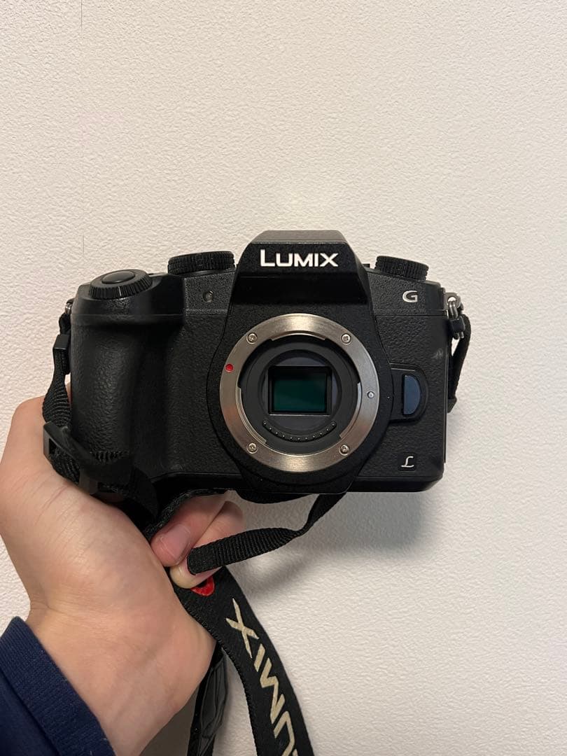 LUMIX G8ミラーレス一眼カメラ 本体　値下げ交渉です！！！