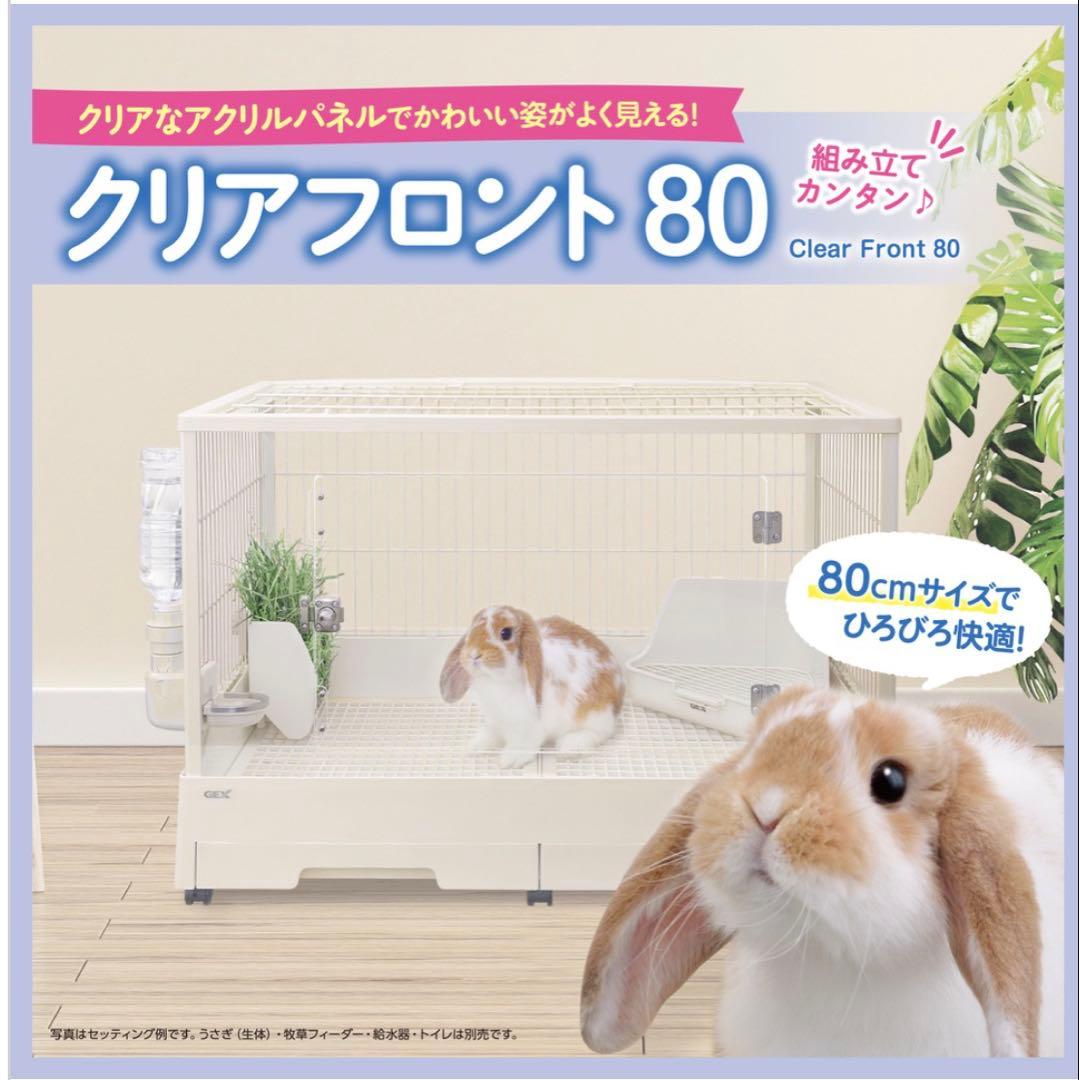 GEXクリアフロント80
