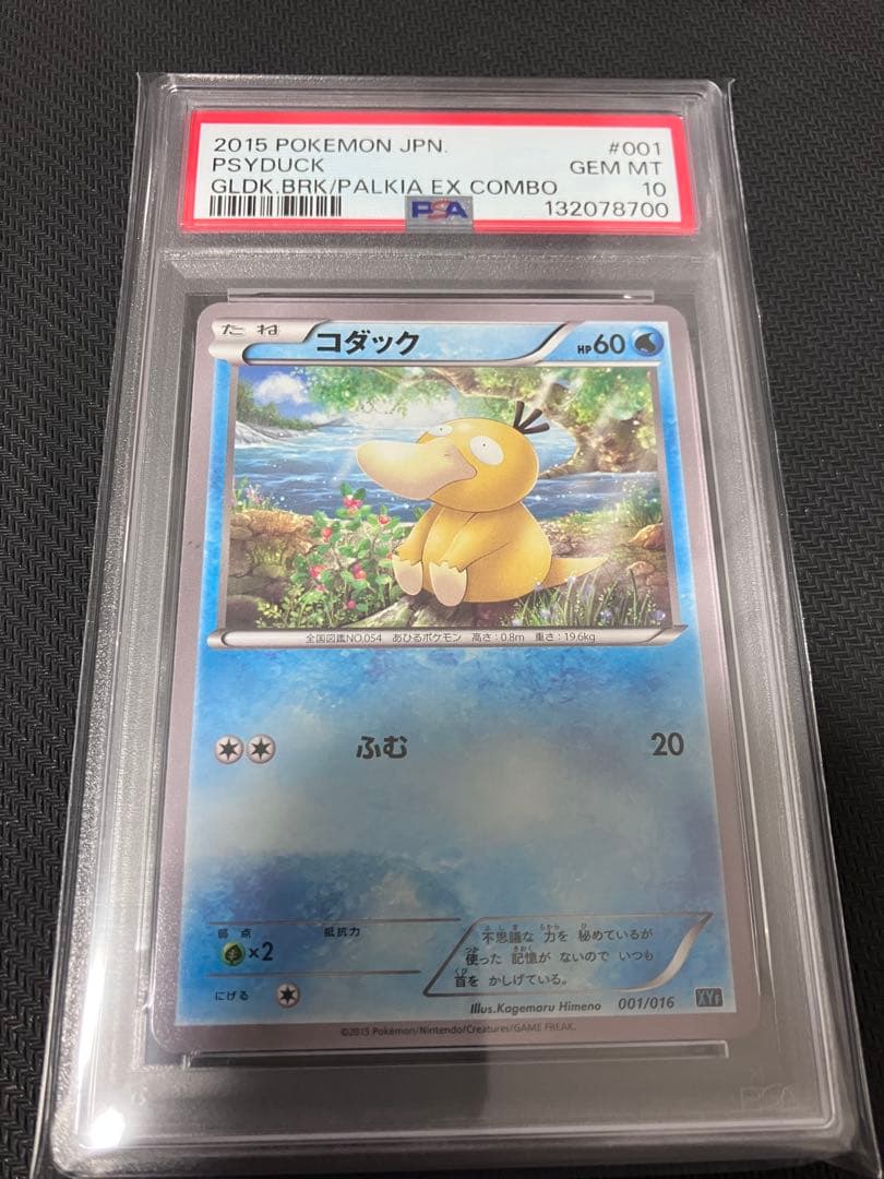コダック psa10 2015 xy ポケカ ポケモンカード