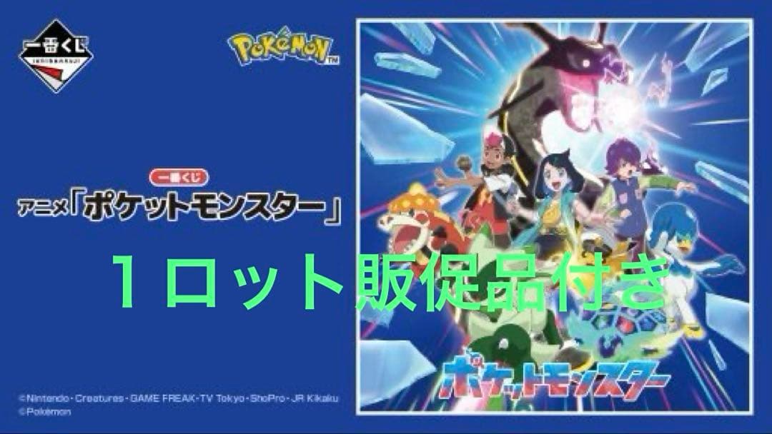 ポケモン　1番くじ　ロット販売